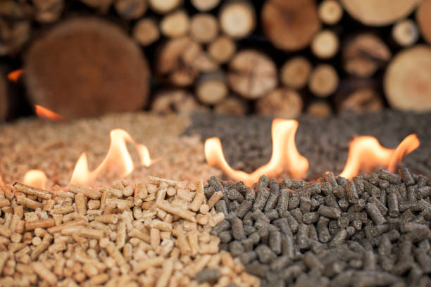 istock Wooden biomass in flames 1031933390