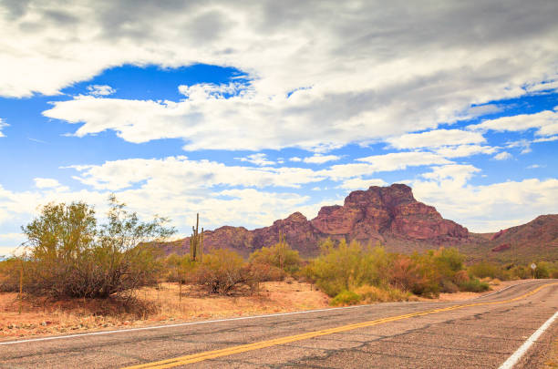 istock Arizona Desert and Cactus 1031937136