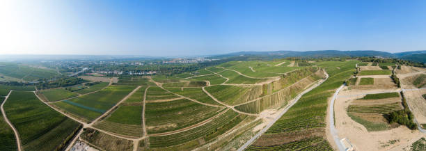 istock Panoramic aerial view over Rheingau-Tanus area, Germany 1031937176