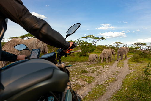 Motorcycle Helmet Kenya Pictures | Download Free Images on Unsplash