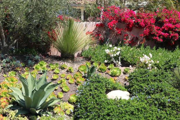 istock Garden in Malibu 1031940446