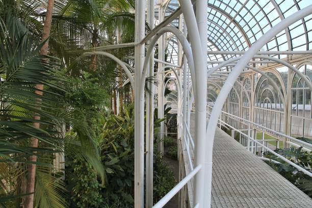 istock Botanical Garden of Curitiba 1031944064