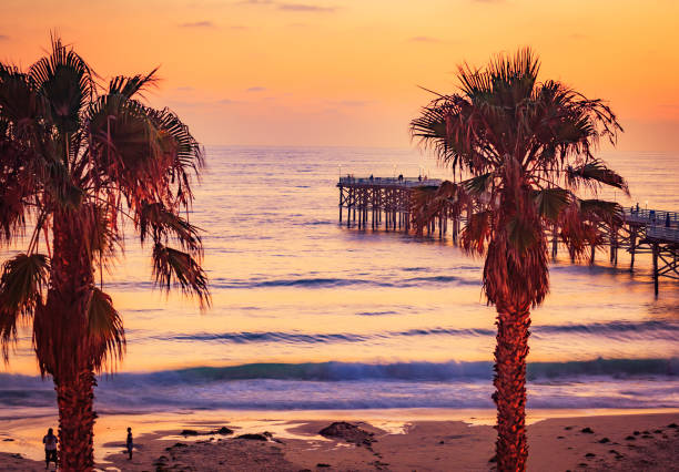 istock Palm Trees On The Beach with Ocean View 1031944402