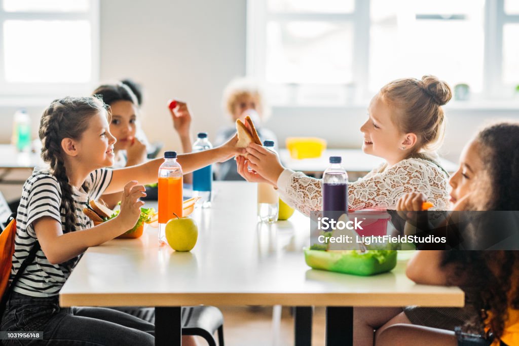 adorable schoolgirls taking lunch at school cafeteria Education Stock Photo