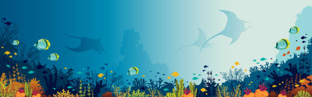 mantas, korallenriff, unterwasser-meer. - korallenriff stock-grafiken, -clipart, -cartoons und -symbole