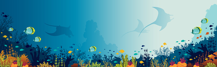 Silhouette of mantas, coral reef and fishes on a blue sea background. Underwater marine life. Vector panoramic illustration.