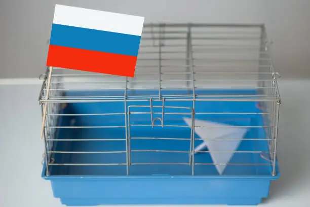 Photo of Russia is blocking Telegram: silhouette of a paper plane behind bars on a blue background