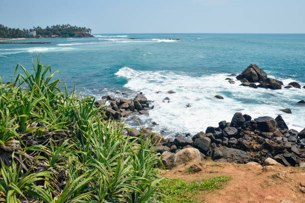 istock shore of Indian Ocean 1031992150