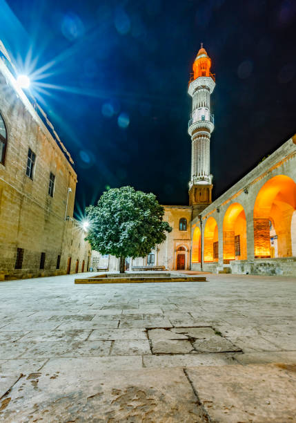 istock Sehidiye Mosque and Madrassa in Mardin, Turkey 1031997730