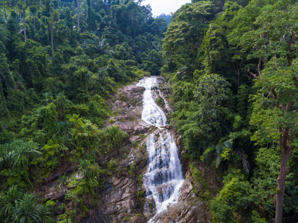istock Aerial shot tropical forest and  Waterfall  south Thailand 1032008954