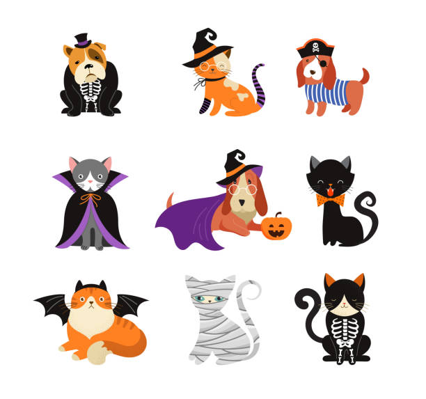 happy halloween - hunde und katzen im monster kostüme, halloween-party. vektor-illustration, banner, elemente set - cats stock-grafiken, -clipart, -cartoons und -symbole