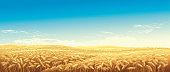 istock Rural landscape with wheat fields 1032020614