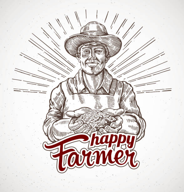 Happy farmer holding a handful of grain in his hands Happy farmer holding a handful of grain in his hands. Vector illustration in engraving style. farmer drawings stock illustrations