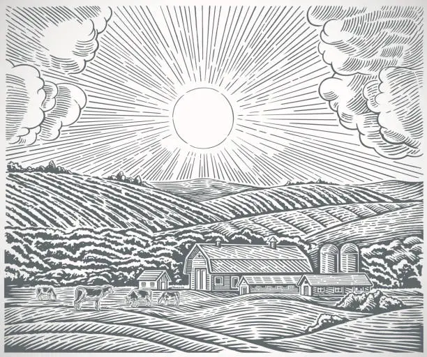 Vector illustration of Rural landscape in engraving style