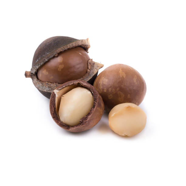 istock Shelled and unshelled macadamia nuts on white background 1032028678