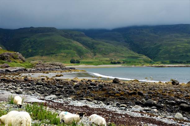 istock Scottish Landscapes - Loch Buie 1032033114