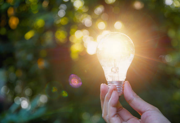 istock Hand holding light bulbs with glowing on nature background. Idea, creativity and saving energy with light bulbs concept. 1032034558