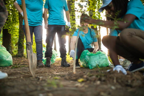 istock Group of People Planting Tree In Park 1032034618