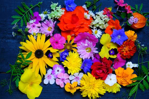 istock Texture of various garden flowers, top view. 1032034638