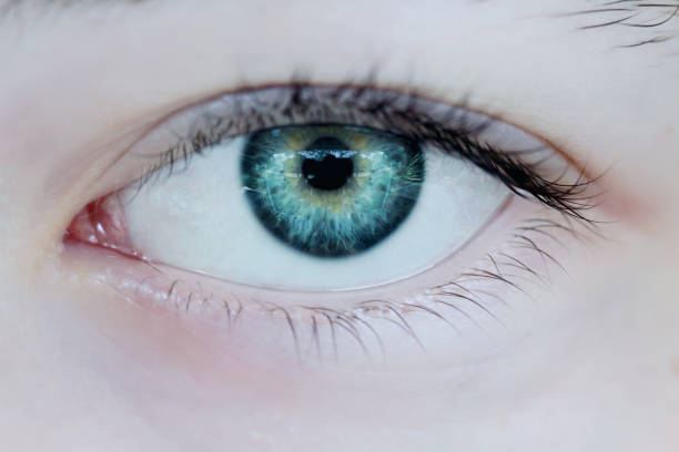 Smiling toddler boy's eye