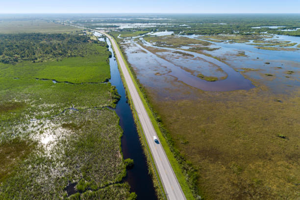istock Road freight through the swamp 1032053472