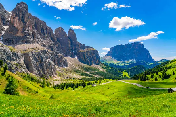Landscape of the Dolomites at the Gardena pass with the flowers field and the Sassolungo mountain in South Tyrol, Italy