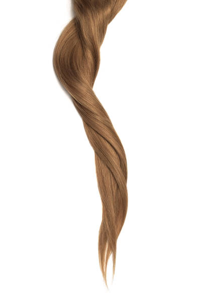 istock Brown hair isolated on white background. Long twisted ponytail 1032054546