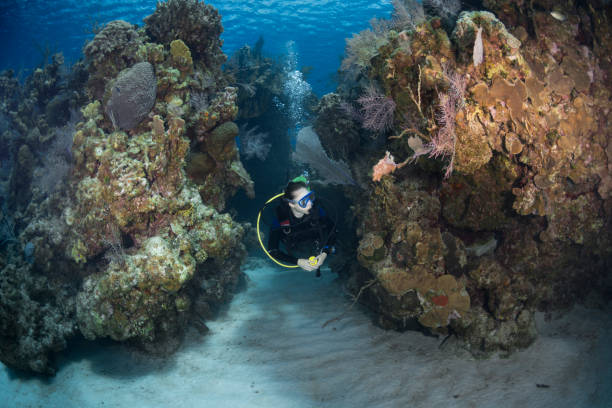 istock Caribbean coral reef and diver 1032062878