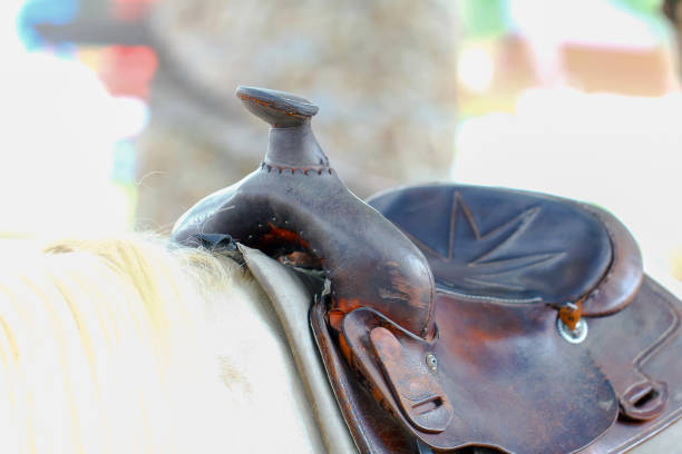 istock Colour detail of a handmade leather saddle 1032065630