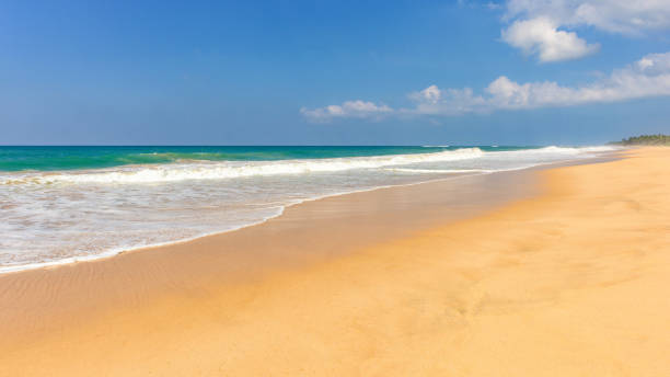 istock Panoramic tropical beach in Sri Lanka 1032066786