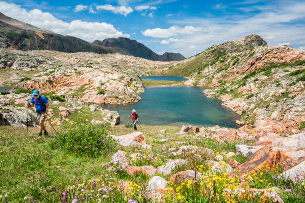 Two hikers in 60's use hiking poles to ascend a steep grassy slope from Eldorado Lake, at 12,500 ft elevation in the Grenadier Mountains, Continental Divide, San Juan Mountains, Rocky Mountains, Silverton, CO, USA
