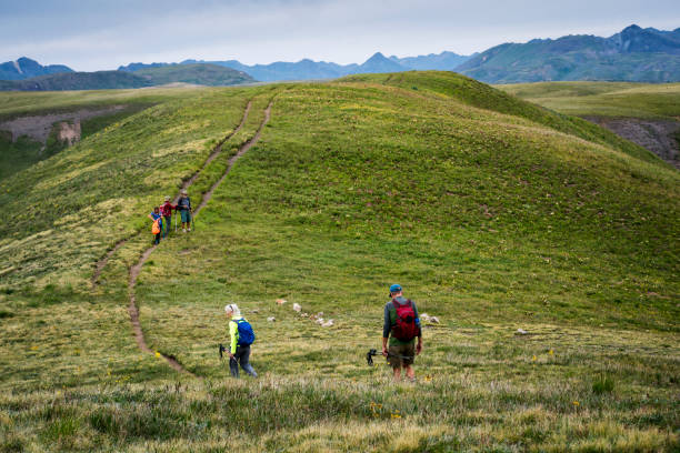 istock Group of hikers in the Weminuche Wilderness 1032066892