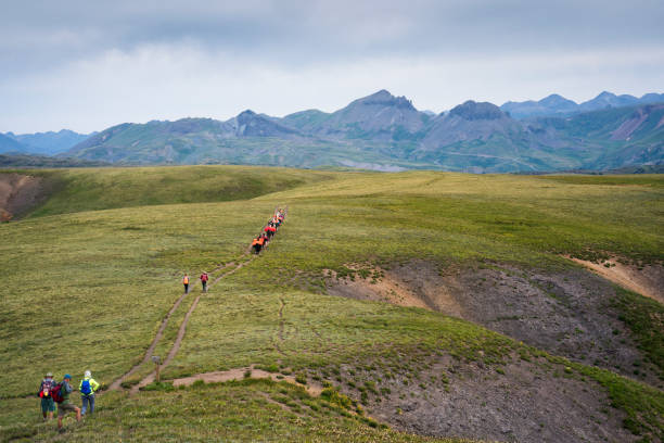 istock Hiking the Continental Divide Trail with llamas 1032066914