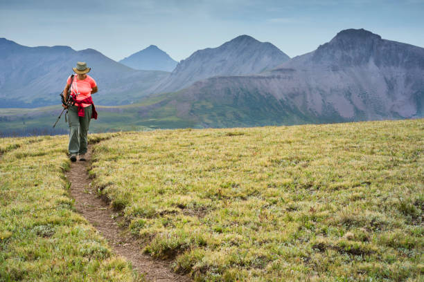 Woman hikes along a dirt path on the Continental Divide Trail, Weminuche Wilderness, San Juan National Forest, CO