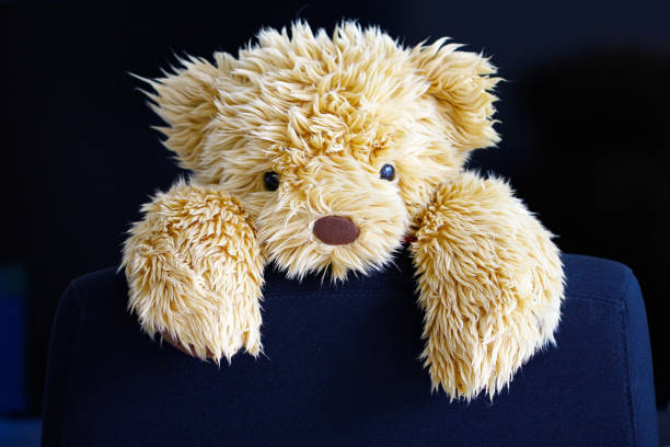istock bear doll clamp on working Chair 1032069086