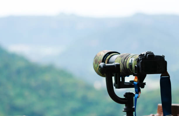 istock Set up camera on tripod shooting animals over the wind space for text 1032069830