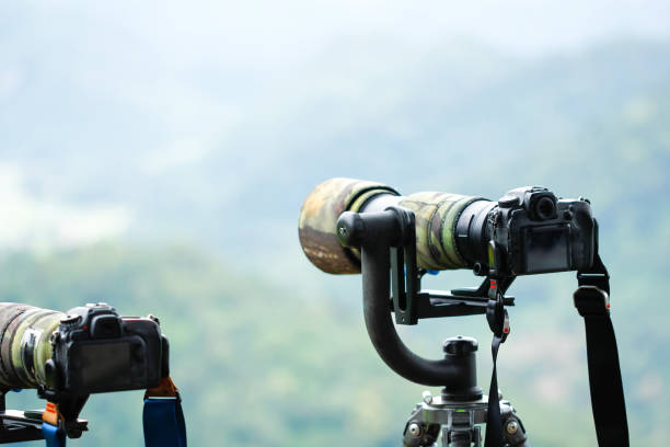 istock Set up camera on tripod shooting animals over the wind space for text 1032069920
