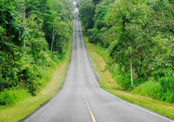 The road curves up the mountain. stock photo