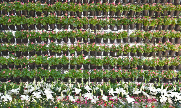 istock Vertical gardening wall hanging flower pots 1032070666