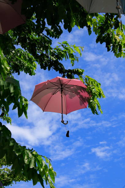 The umbrella is hung on a tree behind the sky.