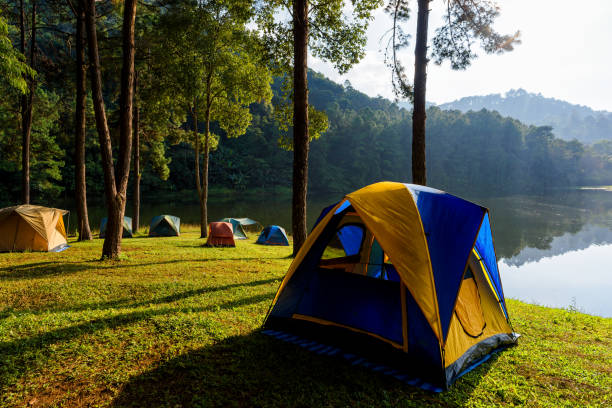 istock Tourist tent in forest camp 1032093658