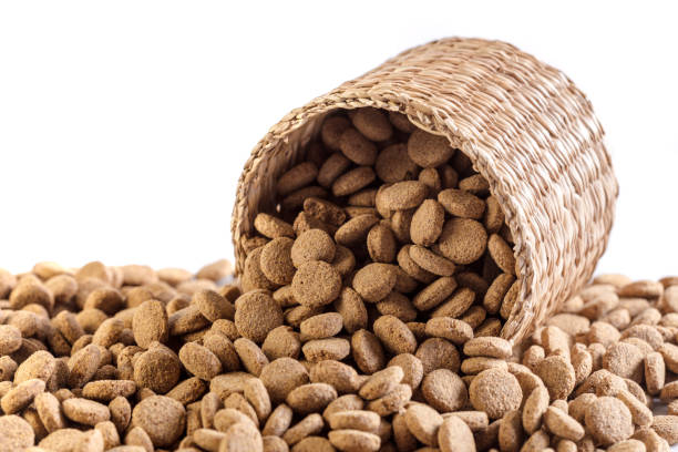 istock dry dog food isolated on white background 1032096480