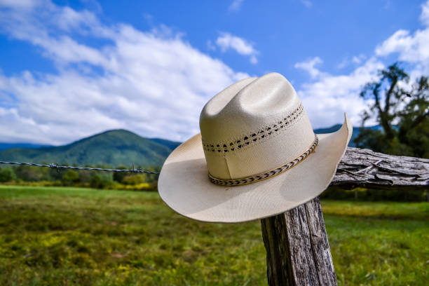 istock Cowboy Hat on Fence Post 1032105738