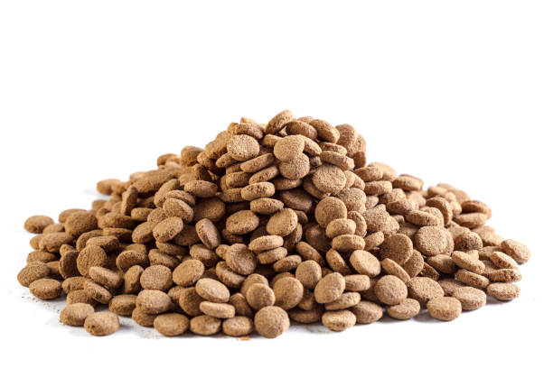 istock dry dog food isolated on white background 1032109524