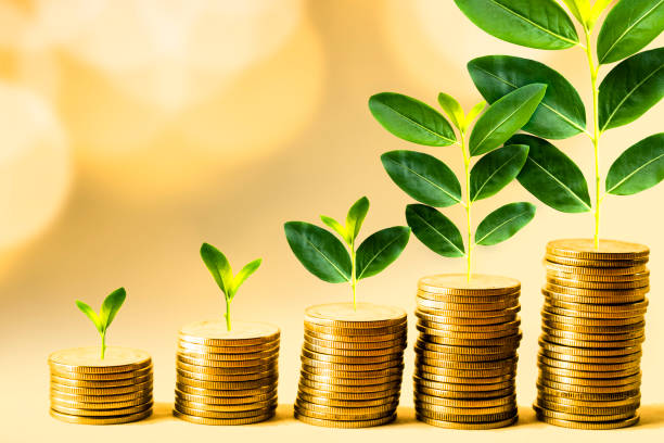 istock Growing investment concept 1032110006