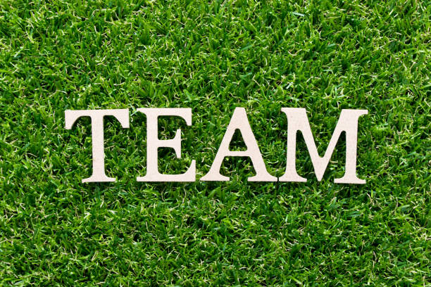 istock Wood alphabet in word team on artificial green grass background 1032110390