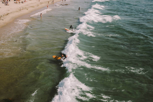 istock Surfers and Swimmers Have Fun in the Ocean 1032111224