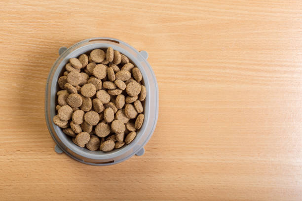 istock pets food on wooden floor 1032116964