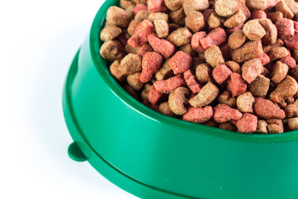 istock dry dog food isolated on white background 1032123000