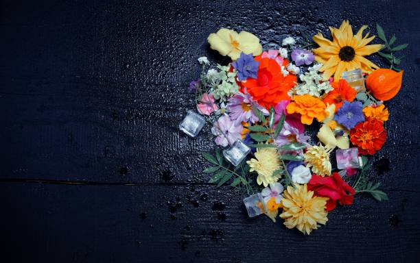 istock Texture of various garden flowers, top view. 1032127658